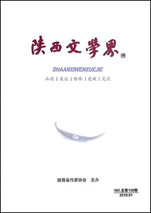 《陜西文學(xué)界》 《陜西文學(xué)界》是與中央級(jí)文化單位、全國(guó)各省文聯(lián)、作協(xié)交流，覆蓋陜西省、市、縣政界主要領(lǐng)導(dǎo)和文聯(lián)負(fù)責(zé)人、省內(nèi)知名高校和大企業(yè)、全省作家的具有高端讀者群、影力廣泛的文學(xué)通訊、交流雙月內(nèi)刊，于1979年創(chuàng)刊，原名為《文學(xué)簡(jiǎn)訊》，后更名為《陜西文學(xué)界》，16開80碼，內(nèi)容豐富……[詳細(xì)]