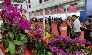 靠花卉引客，也靠“花外留客”