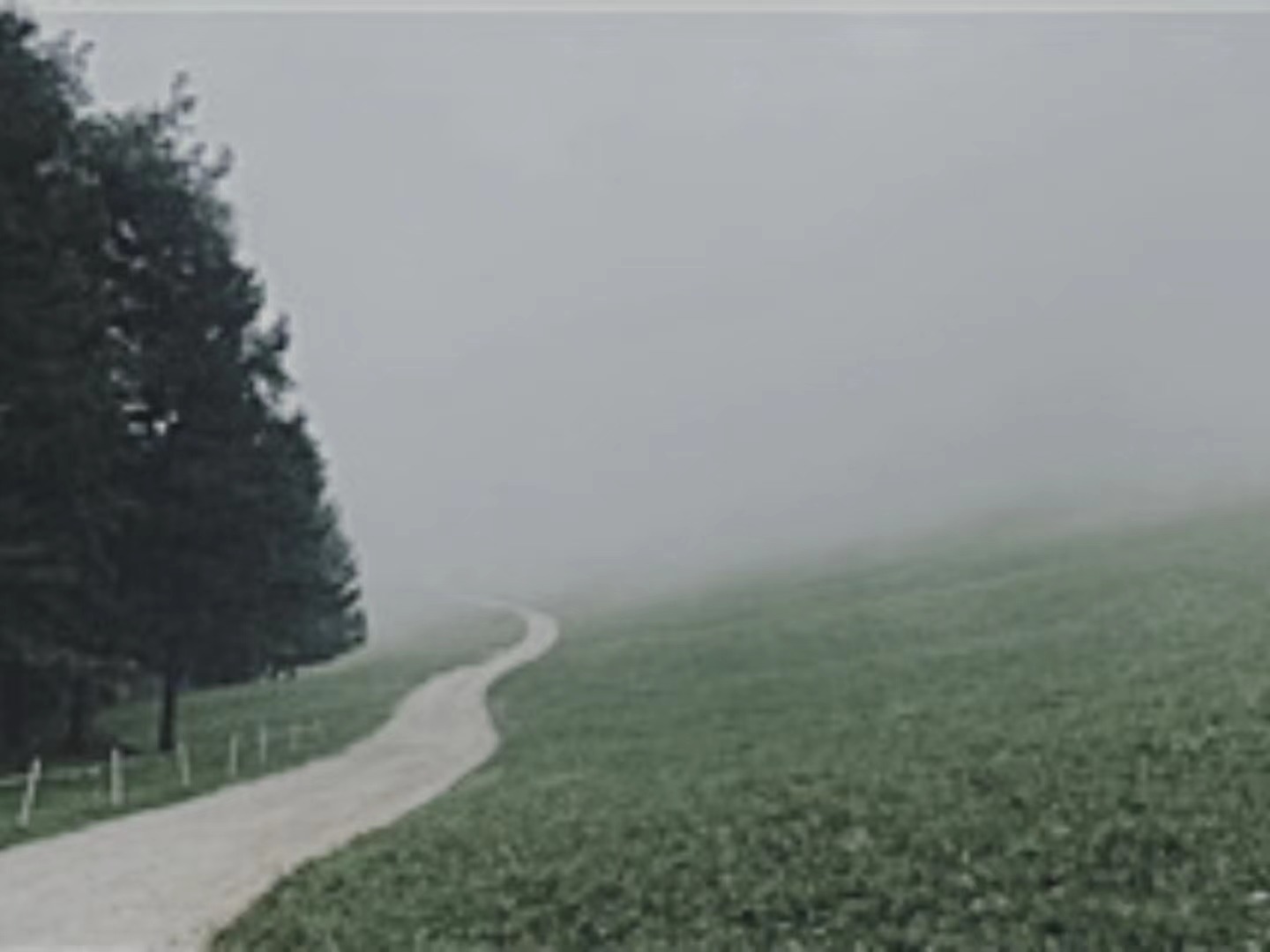 【輯一】南部山區(qū)：有時在大風(fēng)中，群山似乎在奔跑走在山間公路上/山崖在左，溪水在右/轉(zhuǎn)過兩座山，山崖到了右邊，溪水來到左邊[詳細(xì)]