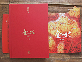 《金枝》：“虛置的父權(quán)”，使父親的角色無比尷尬