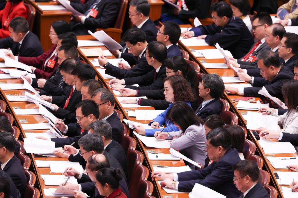 3月8日，十四屆全國人大二次會議在北京人民大會堂舉行第二次全體會議。新華社記者 王婧嬙 攝