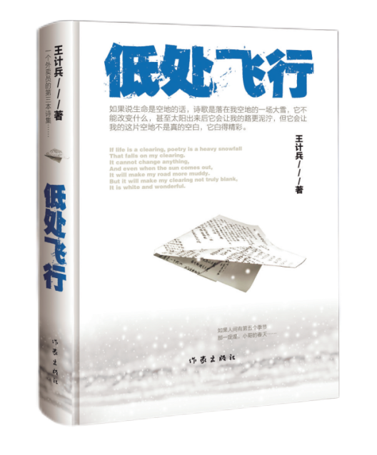 《低處飛行》  王計兵  著  作家出版社