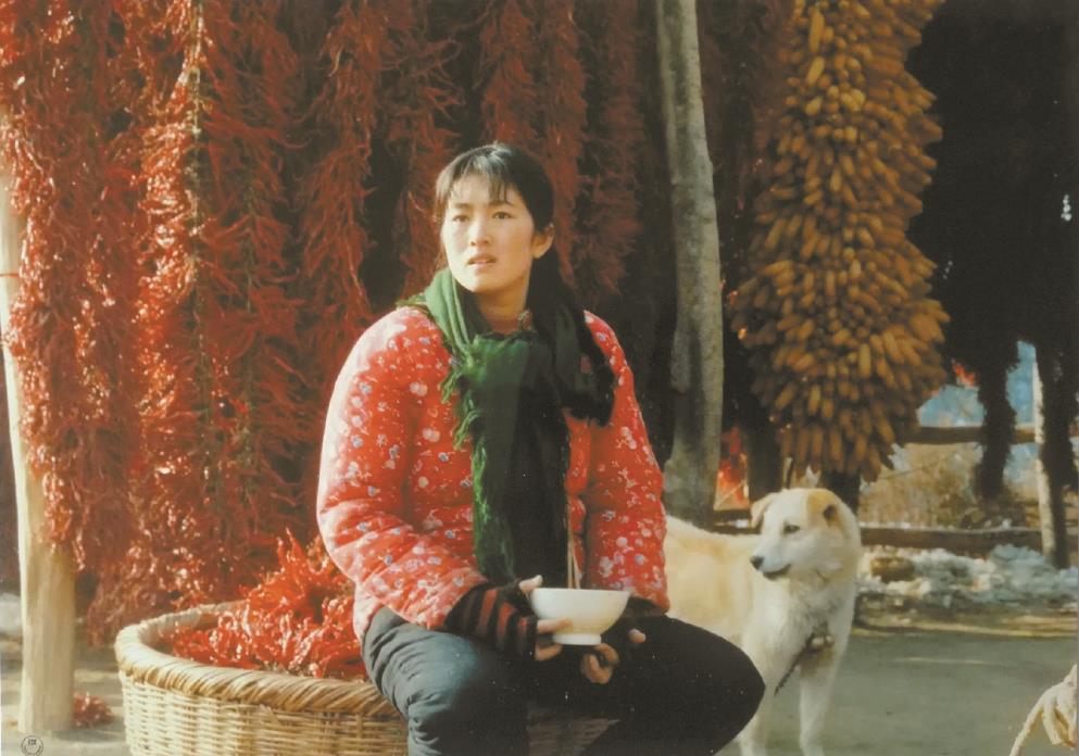 劉恒擔(dān)任編劇的電影《秋菊打官司》曾獲得第49屆威尼斯電影節(jié)金獅獎、第13屆中國電影金雞獎最佳故事片獎等獎項。