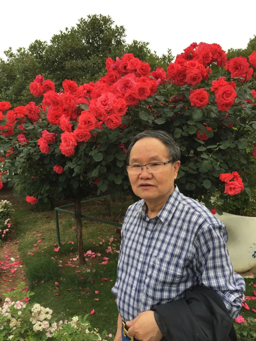【劉慶邦，1951年生于河南沈丘。著有長(zhǎng)篇小說《斷層》《遠(yuǎn)方詩(shī)意》《平原上的歌謠》《紅煤》《遍地月光》《黑白男女》《女工繪》《花燈調(diào)》等十四部，中短篇小說集、散文集《走窯漢》《梅妞放羊》《遍地白花》《響器》《黃花繡》《到處有道》等七十余部?！秳c邦短篇小說編年》十二卷。短篇小說《鞋》獲第二屆魯迅文學(xué)獎(jiǎng)。中篇小說《神木》《啞炮》獲第二屆和第四屆老舍文學(xué)獎(jiǎng)。中篇小說《到城里去》和長(zhǎng)篇小說《紅煤》分別獲第四屆、第五屆北京市文學(xué)藝術(shù)獎(jiǎng)。長(zhǎng)篇小說《遍地月光》獲第八屆茅盾文學(xué)獎(jiǎng)提名。長(zhǎng)篇小說《黑白男女》獲首屆吳承恩長(zhǎng)篇小說獎(jiǎng)。長(zhǎng)篇小說《家長(zhǎng)》獲第二屆南丁文學(xué)獎(jiǎng)。長(zhǎng)篇散文《陪護(hù)母親日記》獲第二屆孫犁散文獎(jiǎng)。曾獲北京市首屆德藝雙馨獎(jiǎng)，首屆林斤瀾杰出短篇小說作家獎(jiǎng)，第十屆冰心散文獎(jiǎng)。獲《北京文學(xué)》獎(jiǎng)十五次；《十月》文學(xué)獎(jiǎng)七次；《小說月報(bào)》百花獎(jiǎng)八次等。根據(jù)其小說《神木》改編的電影《盲井》獲第53屆柏林電影藝術(shù)節(jié)銀熊獎(jiǎng)。1990年加入中國(guó)作家協(xié)會(huì)，為中國(guó)煤礦作家協(xié)會(huì)名譽(yù)主席，北京作家協(xié)會(huì)原副主席，一級(jí)作家，北京市第十、第十一、第十二屆政協(xié)委員，中國(guó)作家協(xié)會(huì)第五、第六、第七、第八、第九屆全國(guó)委員會(huì)委員?！?></p>
<p style=