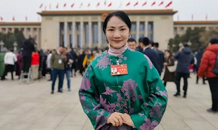 全國政協(xié)委員、山西藝術(shù)職業(yè)學(xué)院黨委委員、副院長苗潔