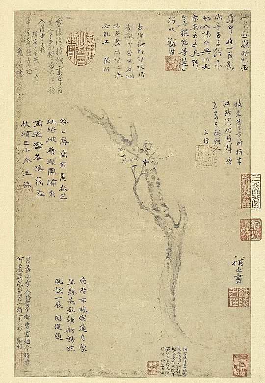 《集古圖繪》冊 宋 揚(yáng)無咎梅花 臺北故宮博物院藏